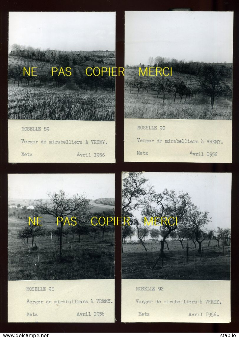 VREMY (MOSELLE) - 4  PHOTOS - VERGER DE MIRABELLIERS EN AVRIL 1956 - AGRICULTURE - Orte