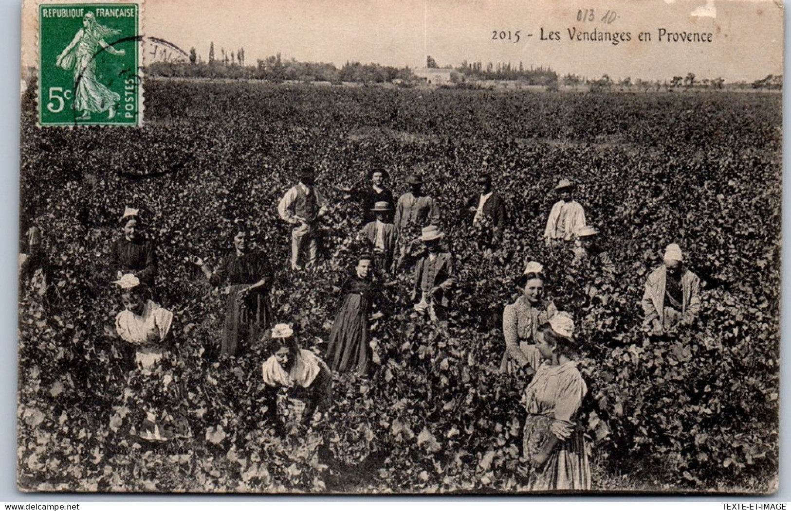 13 Les Vendanges En Provence  - Autres & Non Classés