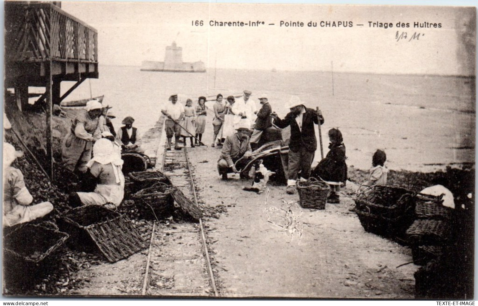 17 Pointe Du Chapus, Le Triage Des Huitres. - Autres & Non Classés