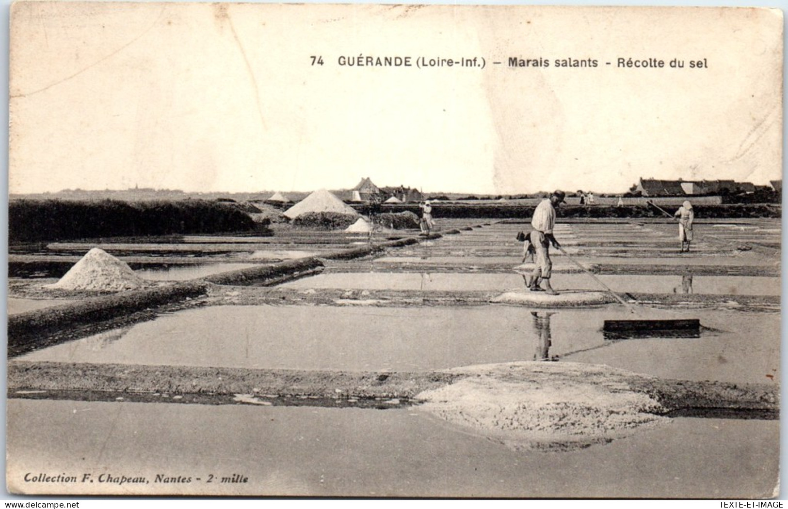 44 GUERANDE - Marais Salants, Recolte Du Sel  - Guérande
