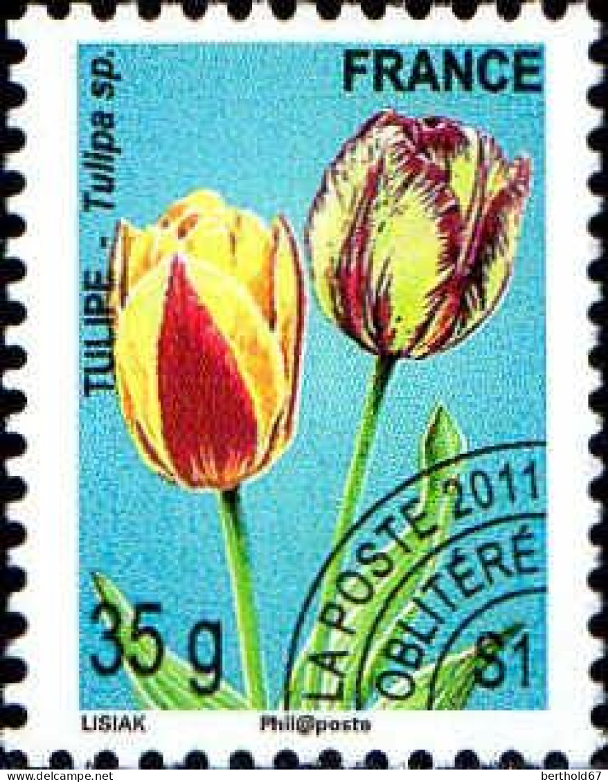 France Préo Obl Yv:259 Mi:5155 Tulipe-Tulipa Sp. (s.gomme) - 1989-2008