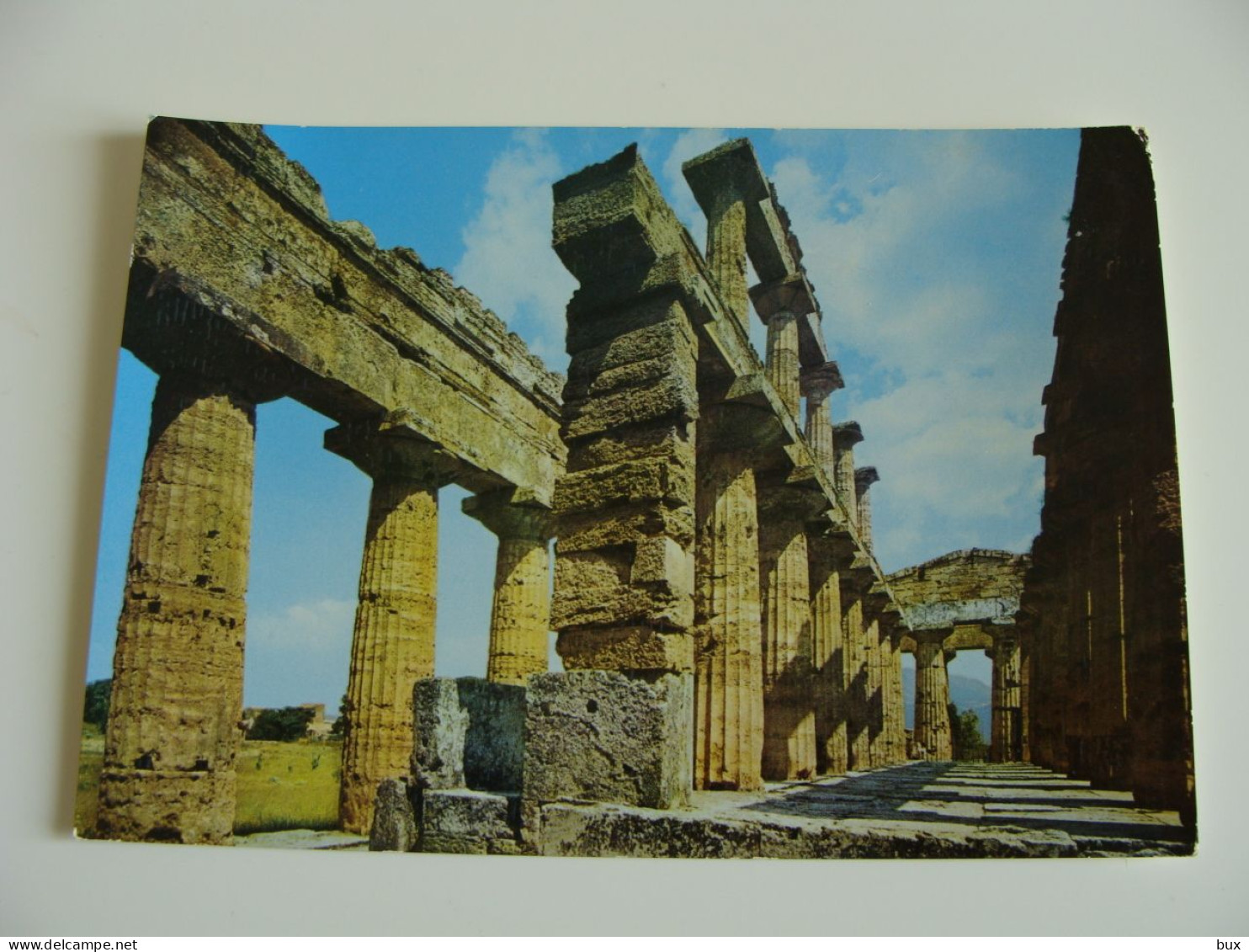 1962  PESTO  PAESTUM   TEMPIO  A NETTUNO CERERE   CAMPANIA  NON  VIAGGIATA CONDIZIONI FOTO FORMATO GRANDE - Salerno