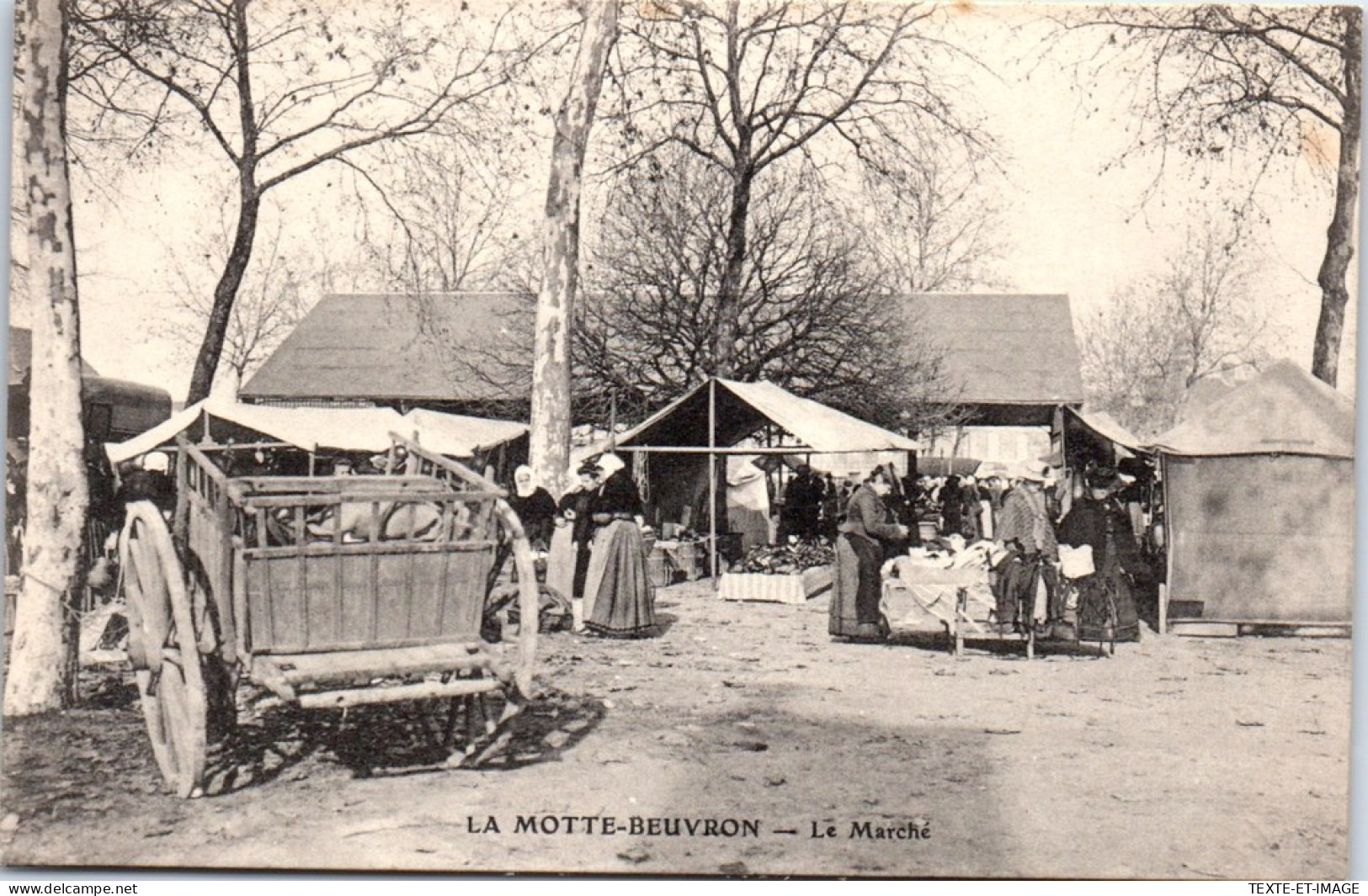 41 LA MOTTE BEUVRON - Un Coin Du Marche. - Lamotte Beuvron