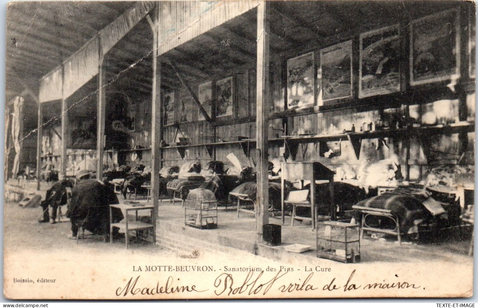 41 LA MOTTE BEUVRON - Sanatorium Des Pins - La Cure. - Lamotte Beuvron