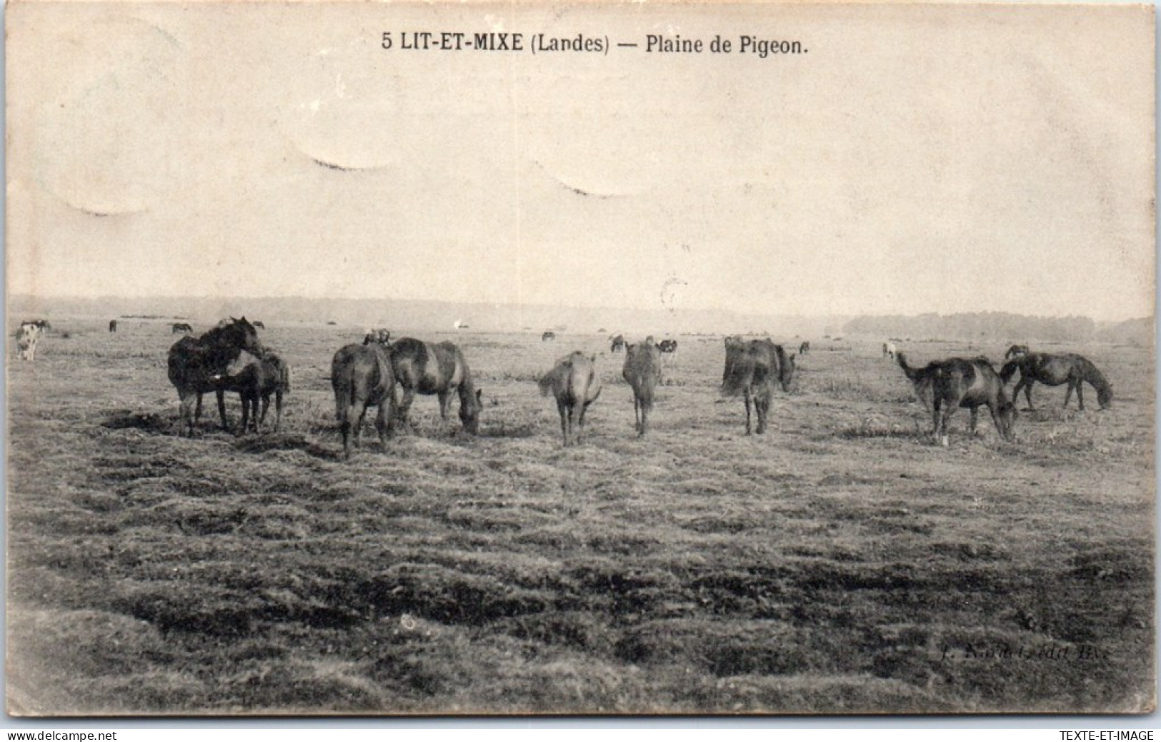 40 LIT ET MIXE - La Plaine De Pigeon (chevaux) - Altri & Non Classificati