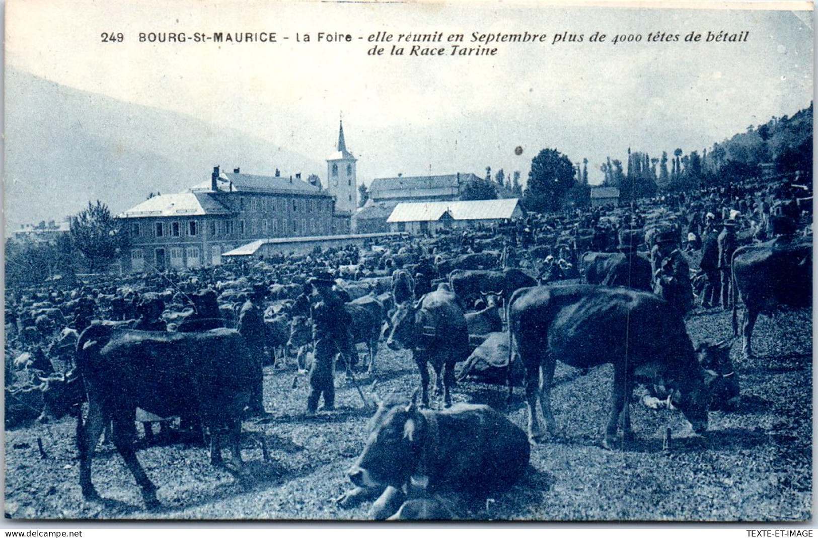 73 BOURG SAINT MAURICE - La Foire Au Betail  - Bourg Saint Maurice