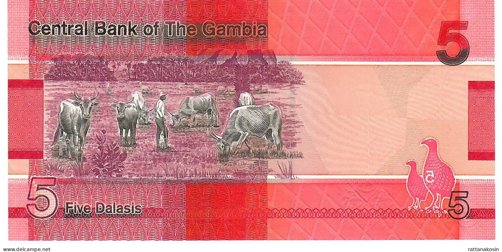 GAMBIA P37b 5 DALASI 2020  2020     UNC. - Gambie