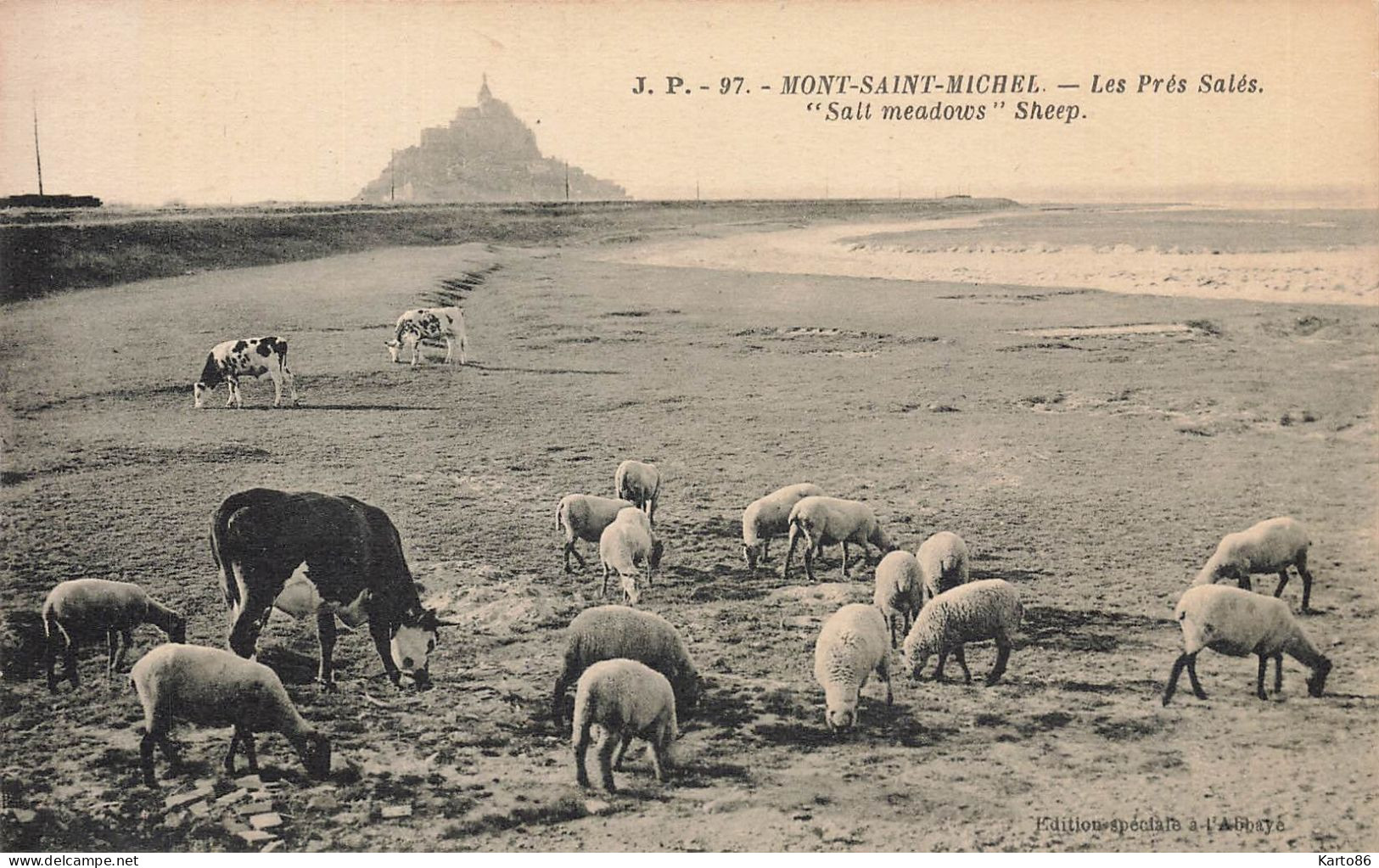 Le Mont St Michel * Les Prés Salés * Moutons Sheep - Le Mont Saint Michel