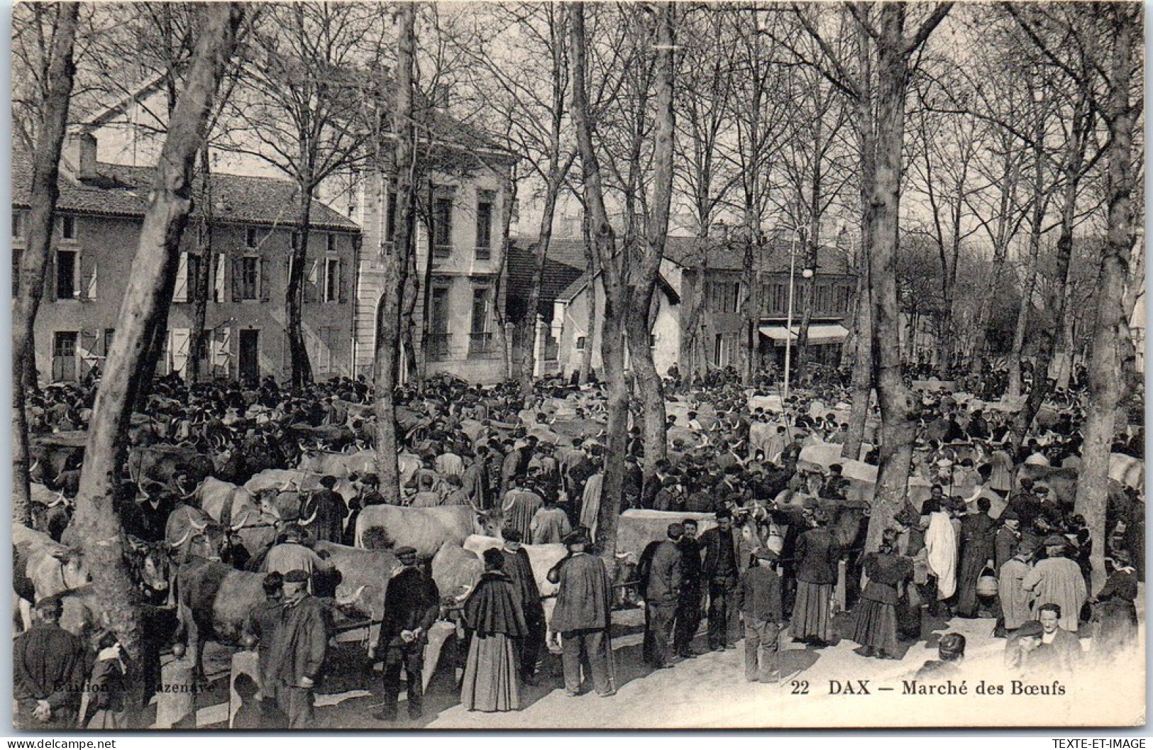 40 DAX - Vue Du Marche Aux Bœufs  - Dax