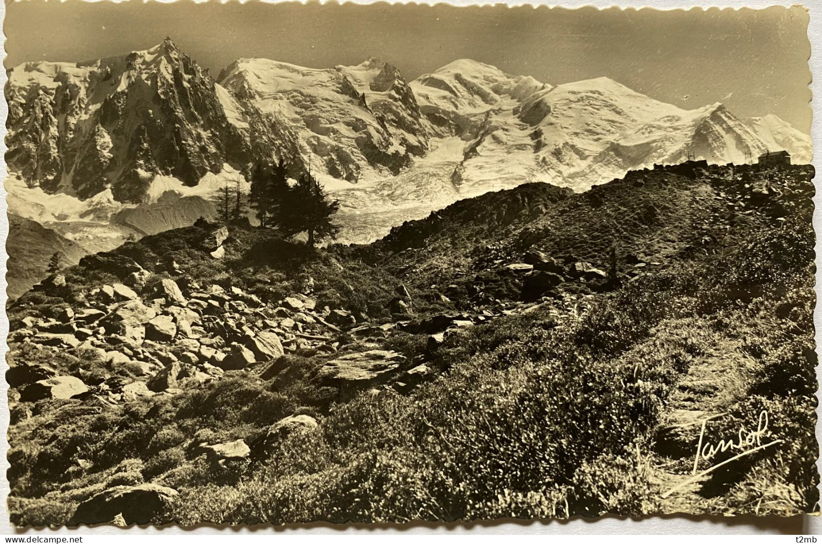 CPSM (Haute Savoie) - CHAMONIX - Sur Le Chemin De La Flégère, L'Aiguille Du Midi Et Le Mont Blanc (n° 521) - Chamonix-Mont-Blanc