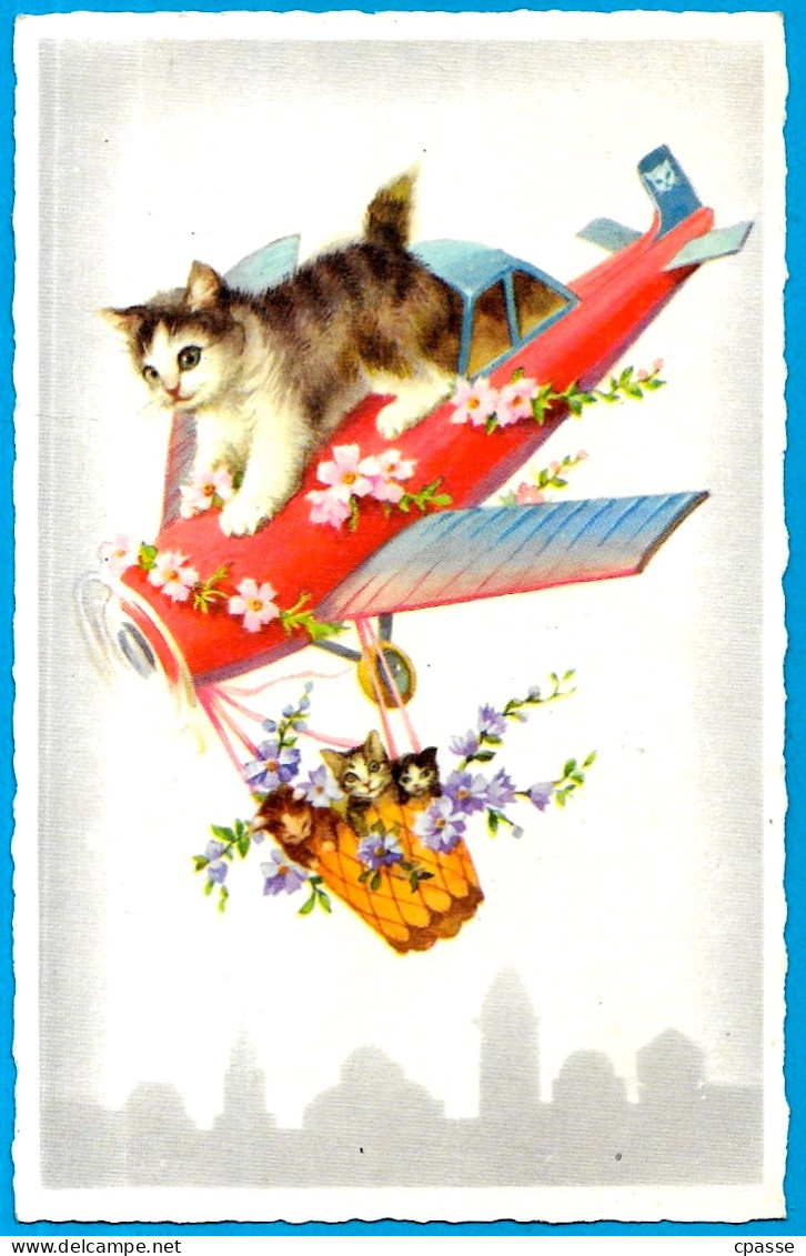 CPA CPSM Illustrateur CHATS - CHATONS En Avion ° M.D. Série 4955 ** Chat Cat - Cats