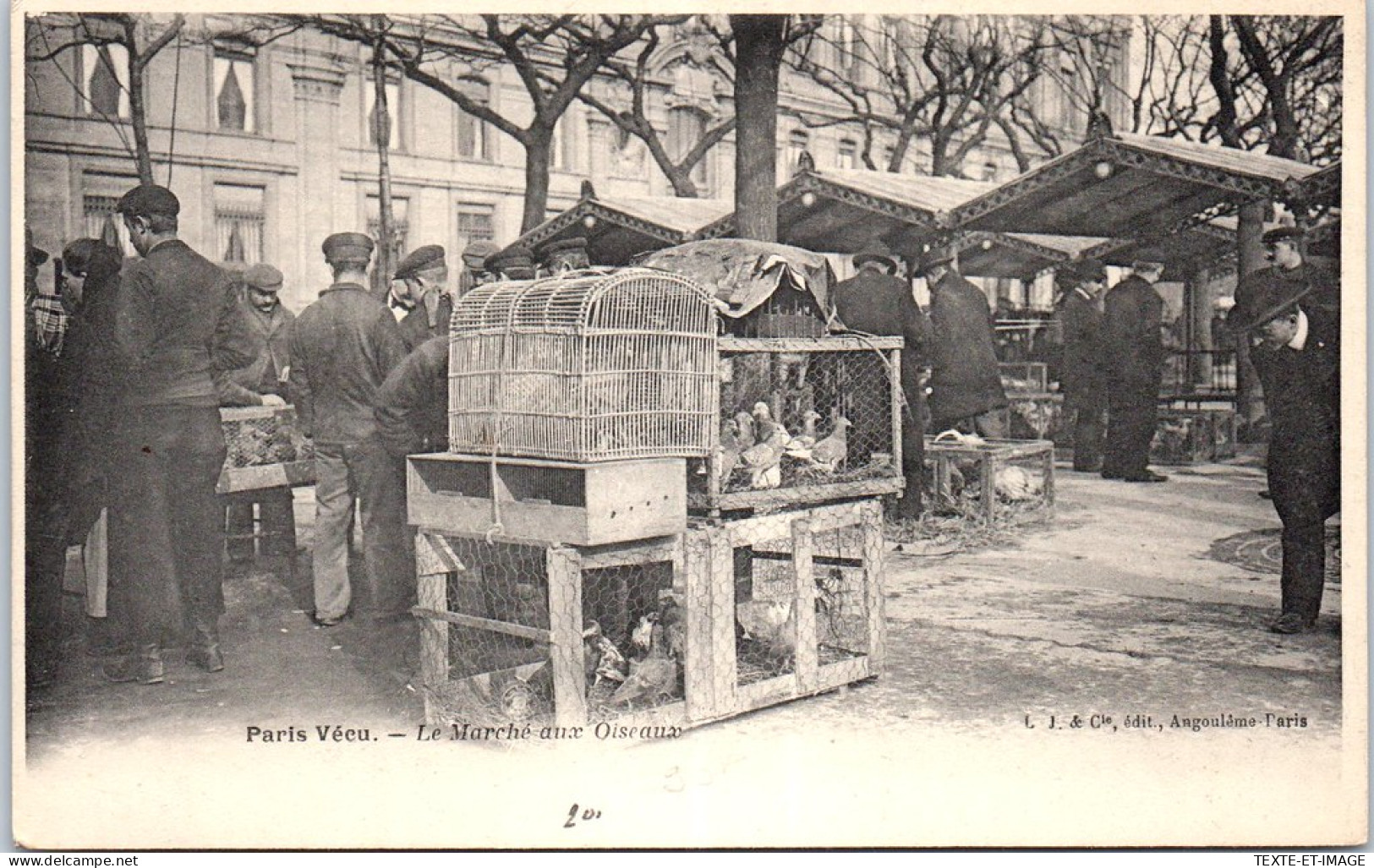 75 PARIS - Paris Vecu - Le Marche Aux Oiseaux. - Petits Métiers à Paris