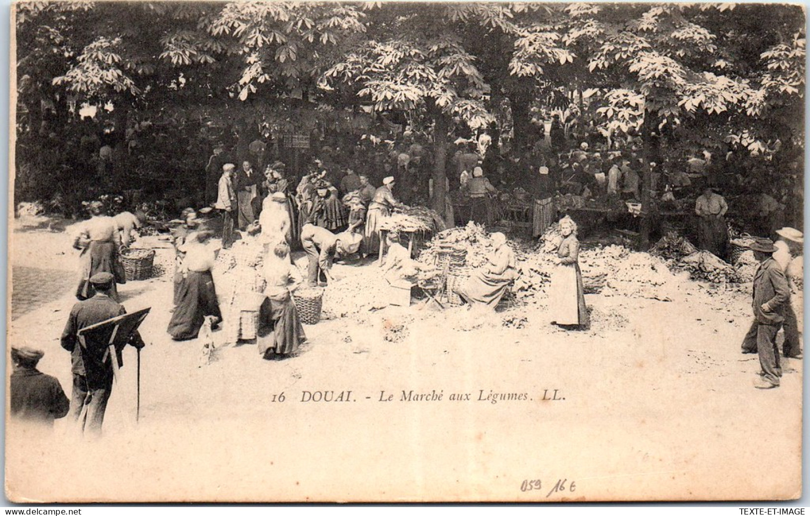 59 DOUAI - Un Coin Du Marche Aux Legumes. - Douai