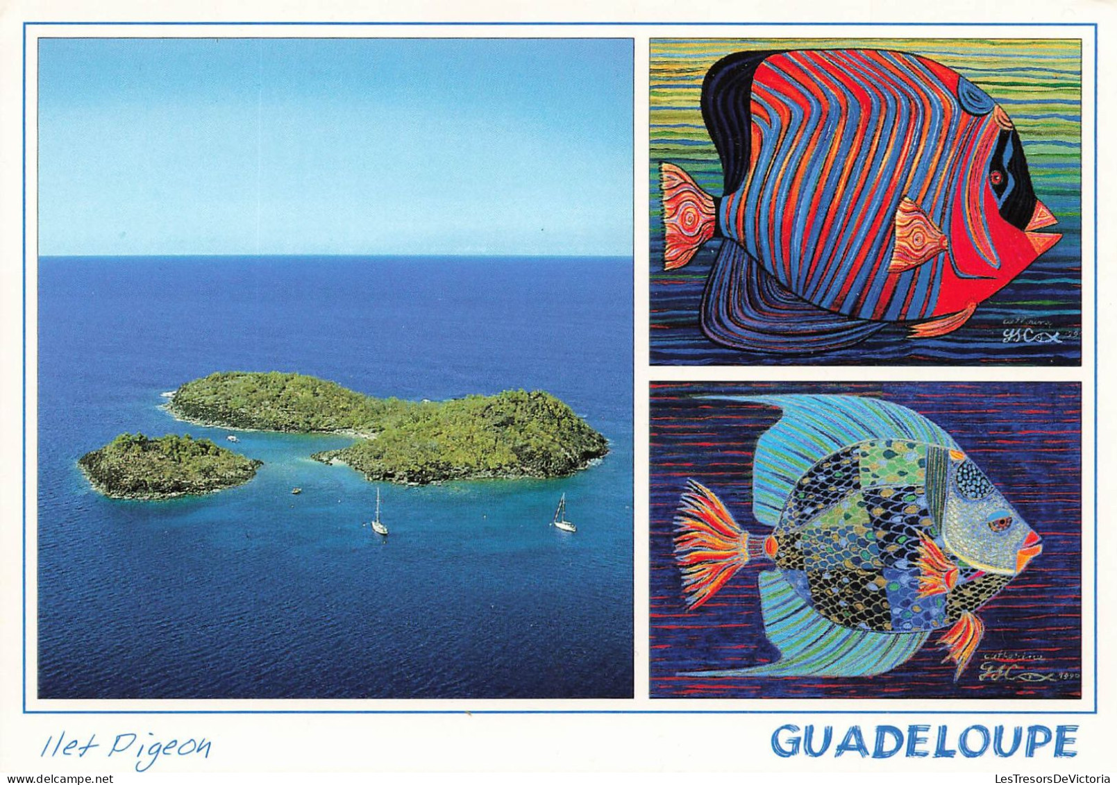 FRANCE - Guadeloupe - Antilles Françaises - Het Pigeon - Multi-vues - Carte Postale - Andere & Zonder Classificatie