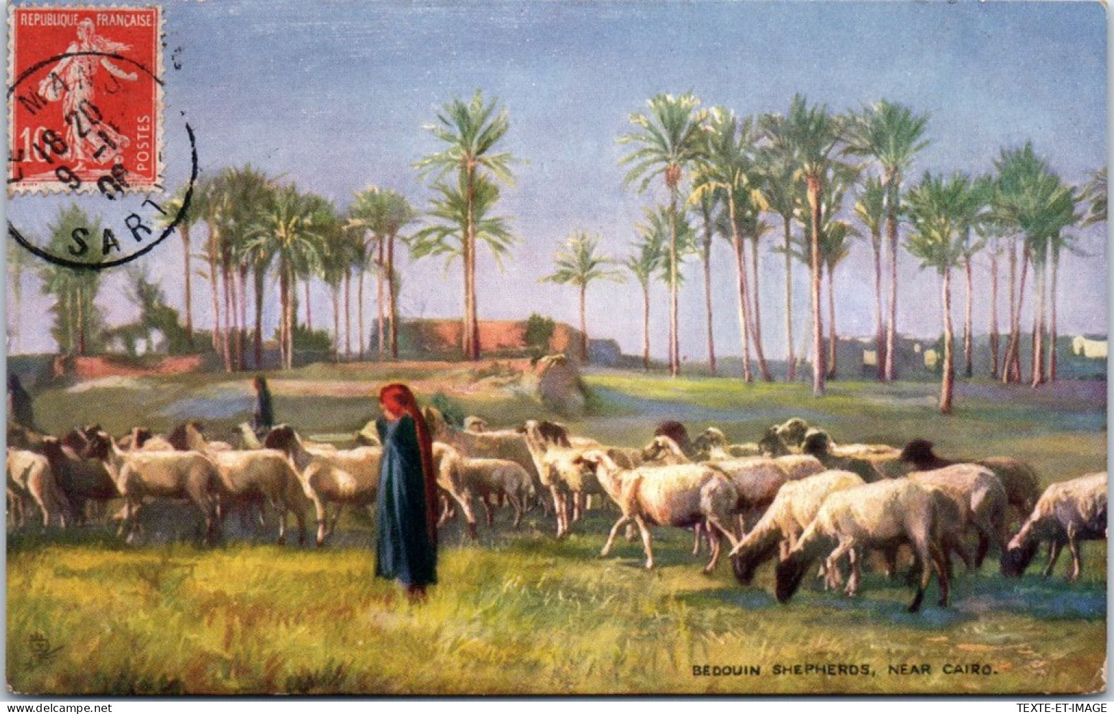 EGYPTE - Berger Et Ses Moutons  - Sonstige & Ohne Zuordnung