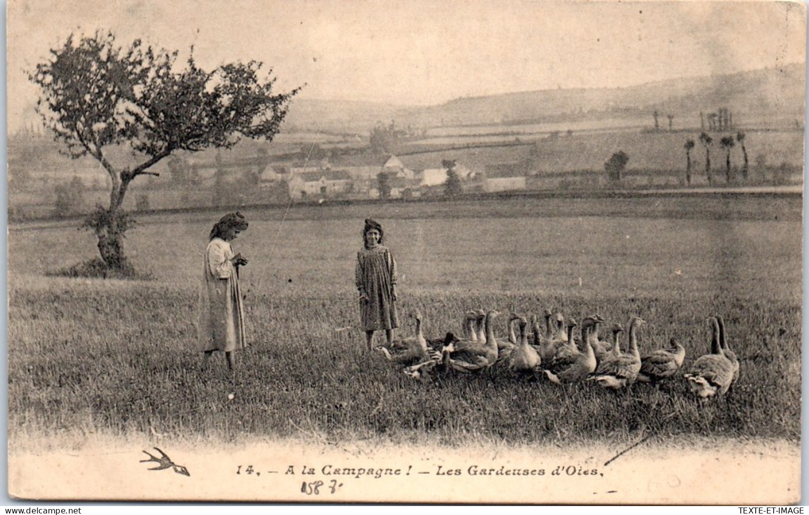 58 A La Campagne, Les Gardeuses D'oies  - Altri & Non Classificati