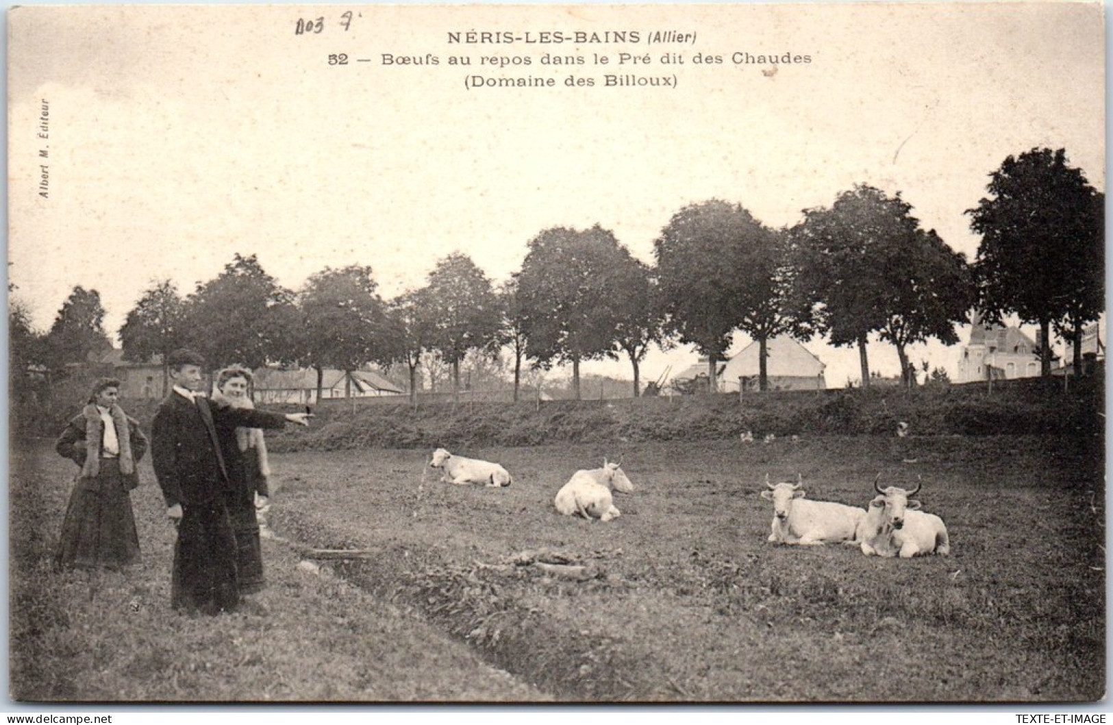 03 NERIS LES BAINS - Bœufs Au Repos Dans Un Pre  - Neris Les Bains