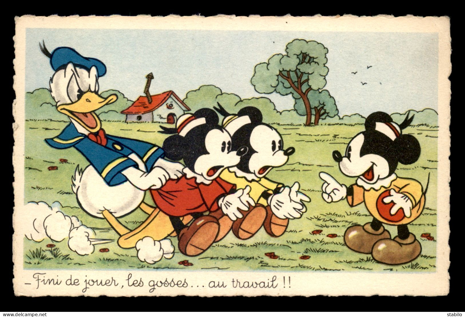 ILLUSTRATEURS - DISNEY - DONALD ET MICKEY - EDITION SUPERLUXE - Other & Unclassified