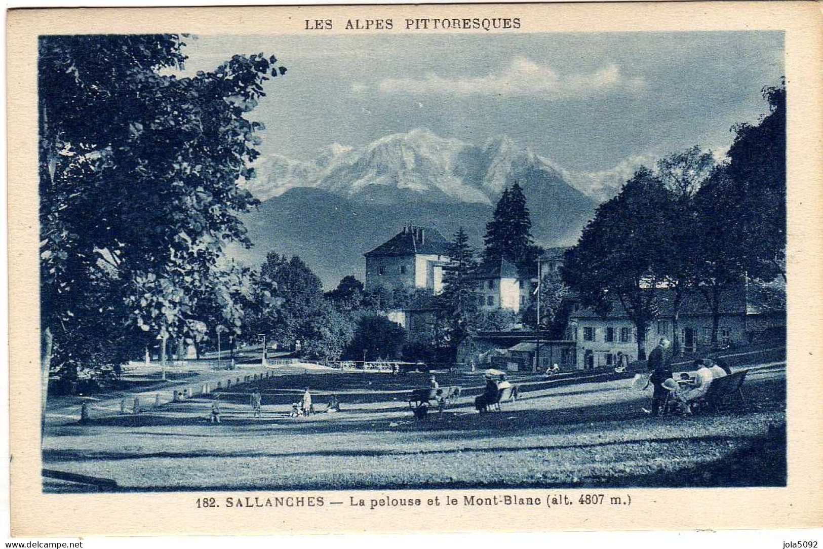 74 / SALLANCHES - La Pelouse Et Le Mont-Blanc - Sallanches