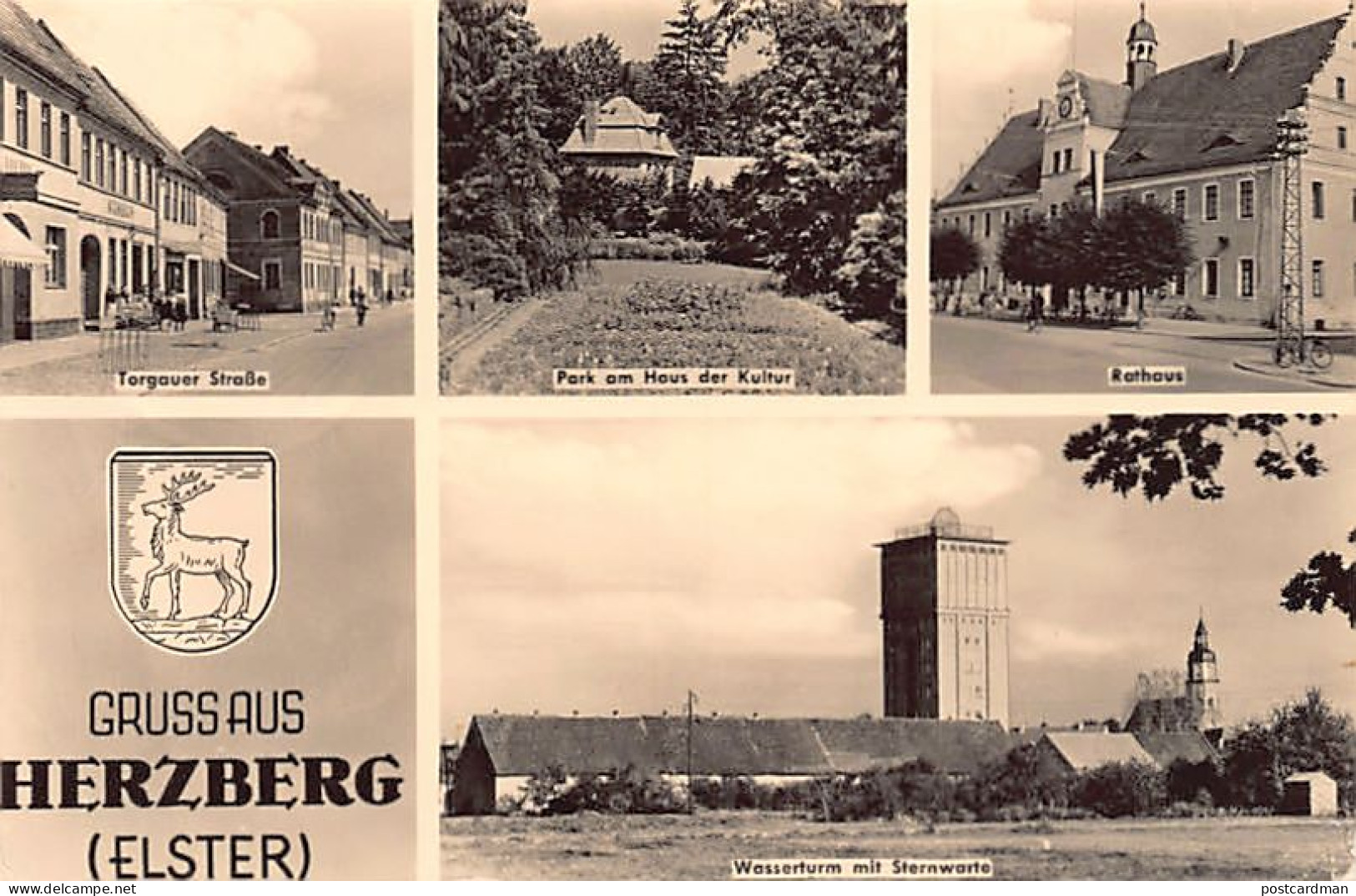 Herzberg (BR) Elster Mehrfachansicht Torgauer Strasse - Park Am Haus Der Kultur - Rathaus - Wasserturm Mit Sternwarte - Herzberg