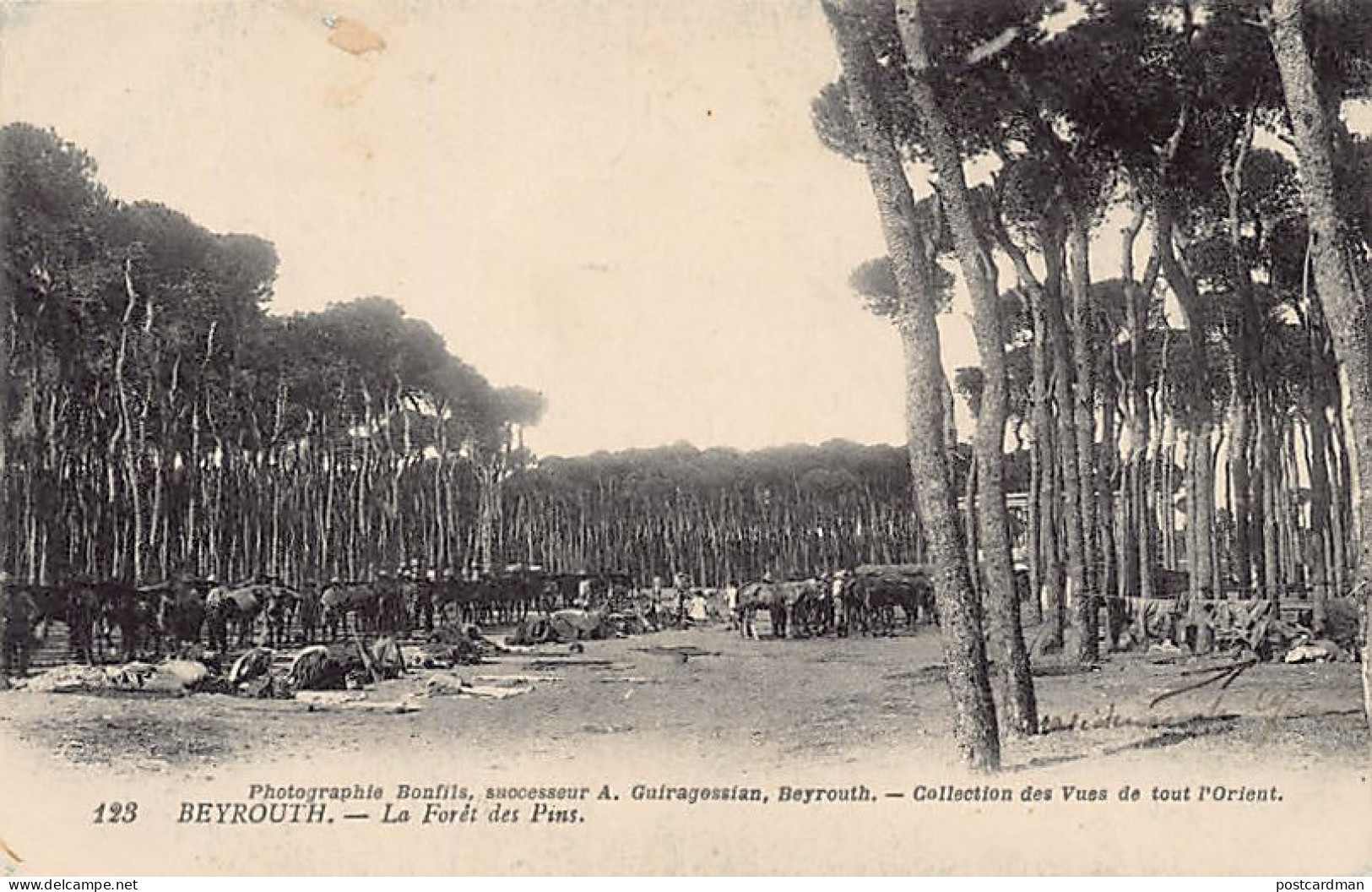 Liban - BEYROUTH - La Forêt De Spins - Camp Militaire - Ed. Photographie Bonfils, Successeur A. Guiragossian 123 - Lebanon