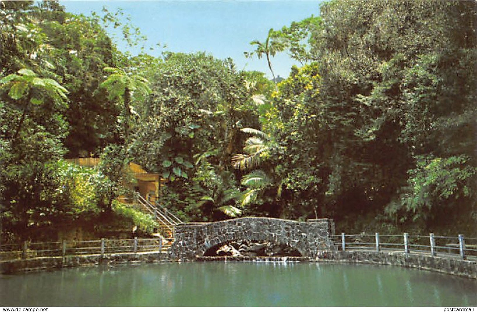 Puerto Rico - EL YUNQUE - Vista Del Bosque Tropical - Ed. Rahola  - Puerto Rico