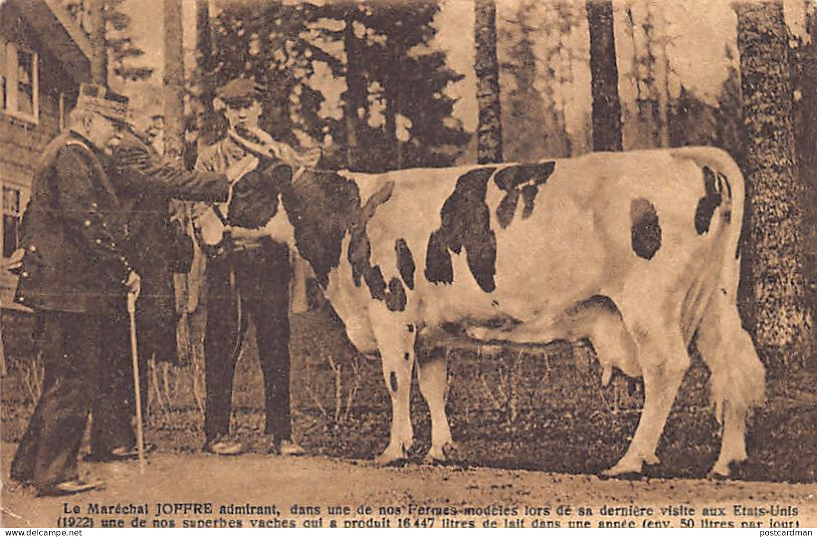 SEATTLE (WA) French Marshal Joffre Admiring A Cow From The Gloria Dairy During His Visit In 1922 - Seattle