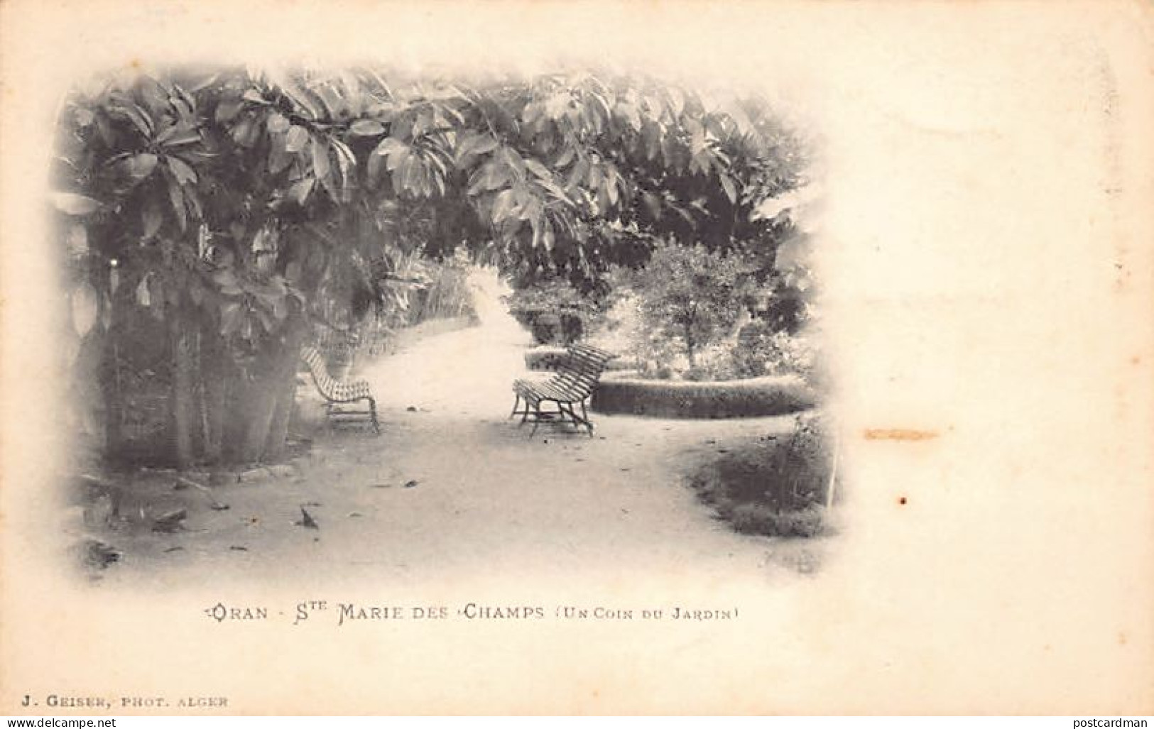 Algérie - ORAN - Pensionnat Sainte Marie Des Champs - Un Coin Du Jardin - Ed. J. Geiser  - Oran