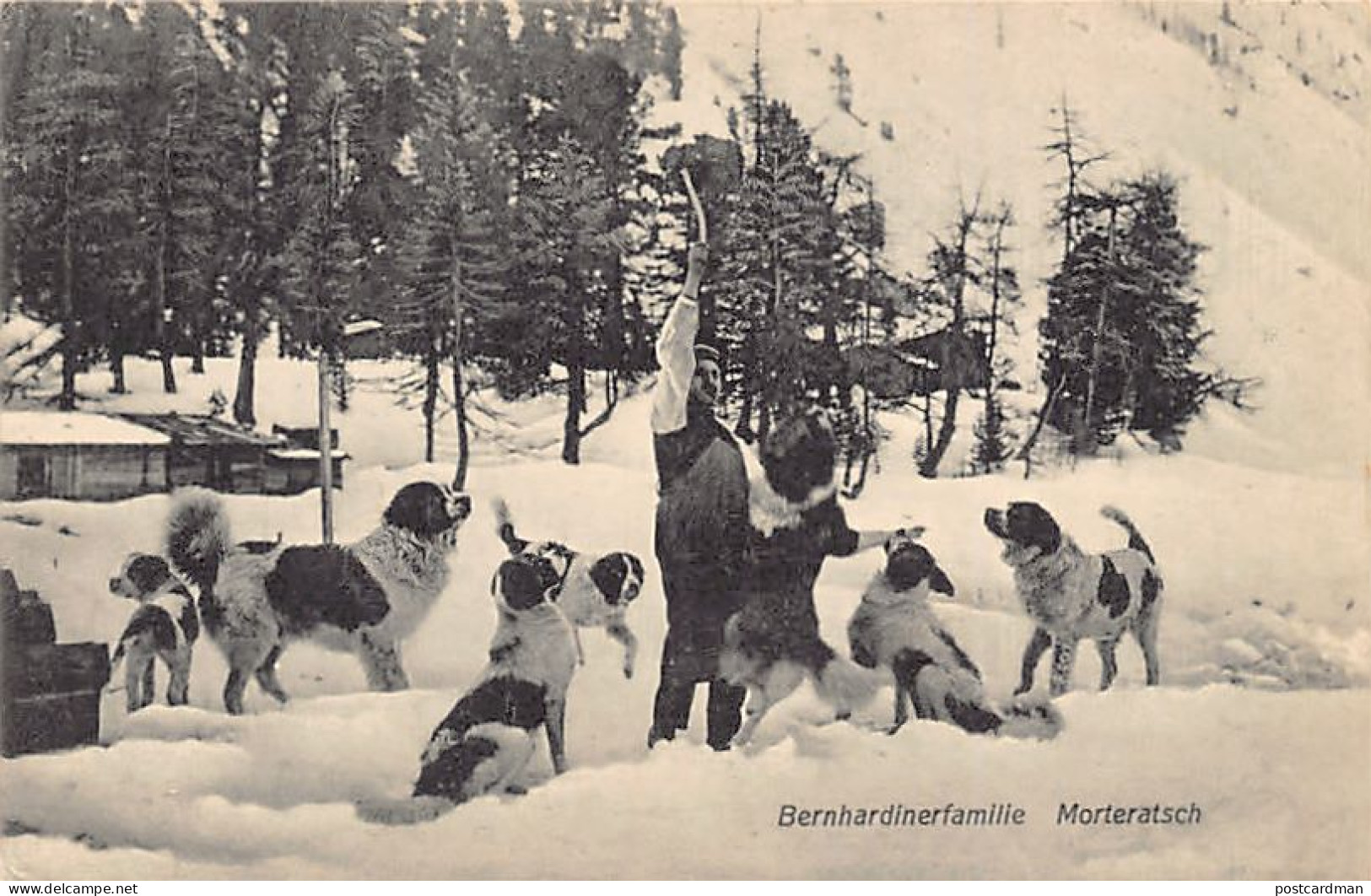 MORTERATSCH (GR) Bernhardinerfamilie - Verlag Engadin Press Co. 13006 - Sonstige & Ohne Zuordnung