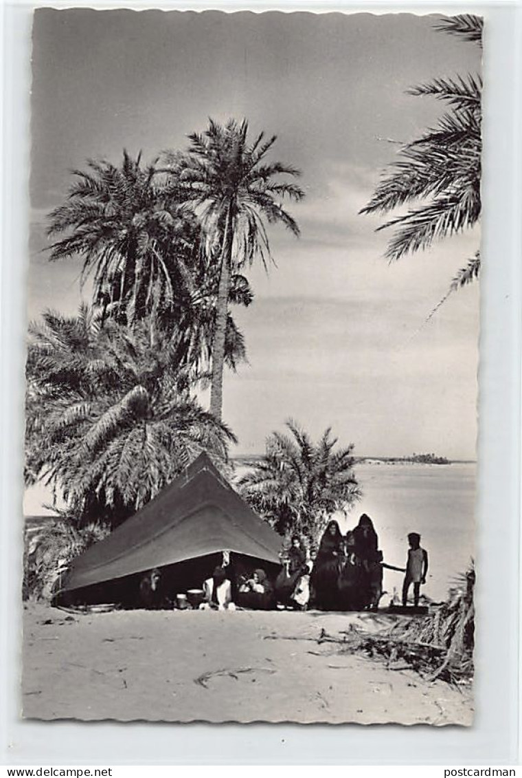 Mauritanie - Oasis Aux Environs D'Atar - Ed. C. Lacroix 3857 - Mauretanien