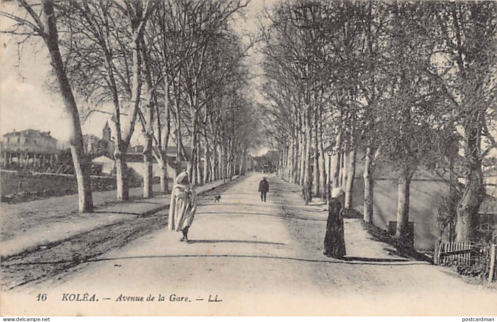 Algérie - BLIDA - Avenue De La Gare - Ed. LL 16 - Blida