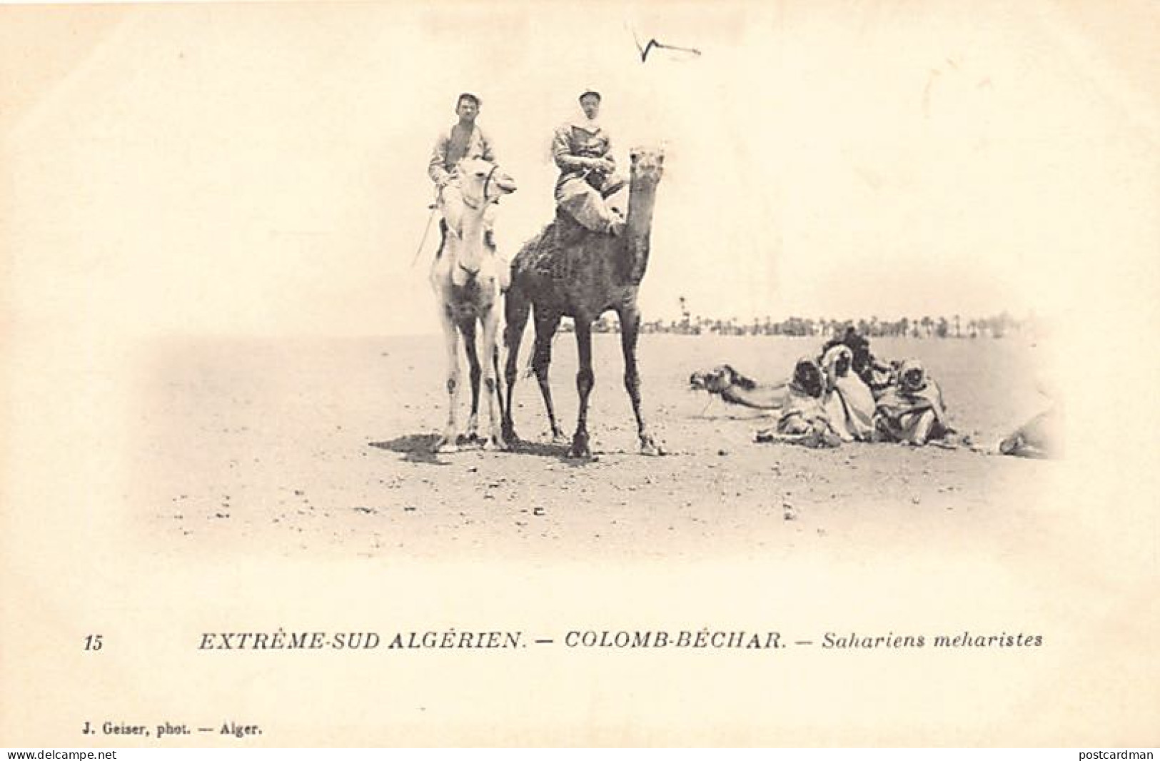 Algérie - COLOMB BÉCHAR - Sahariens Méharistes - Armée D'Afrique - Ed. J. Geiser 15 - Bechar (Colomb Béchar)