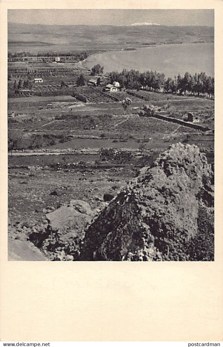 Israel - MIGDAL - Orange Groves - Publ. S. Adler 306 - Israel