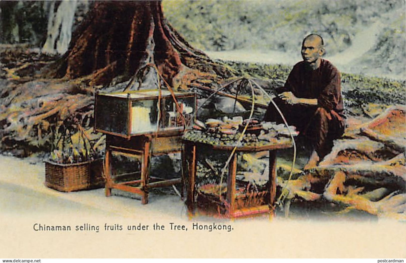 China - HONG KONG - Chinaman Selling Fruits Under The Tree - Publ. M. Sternberg  - China (Hongkong)