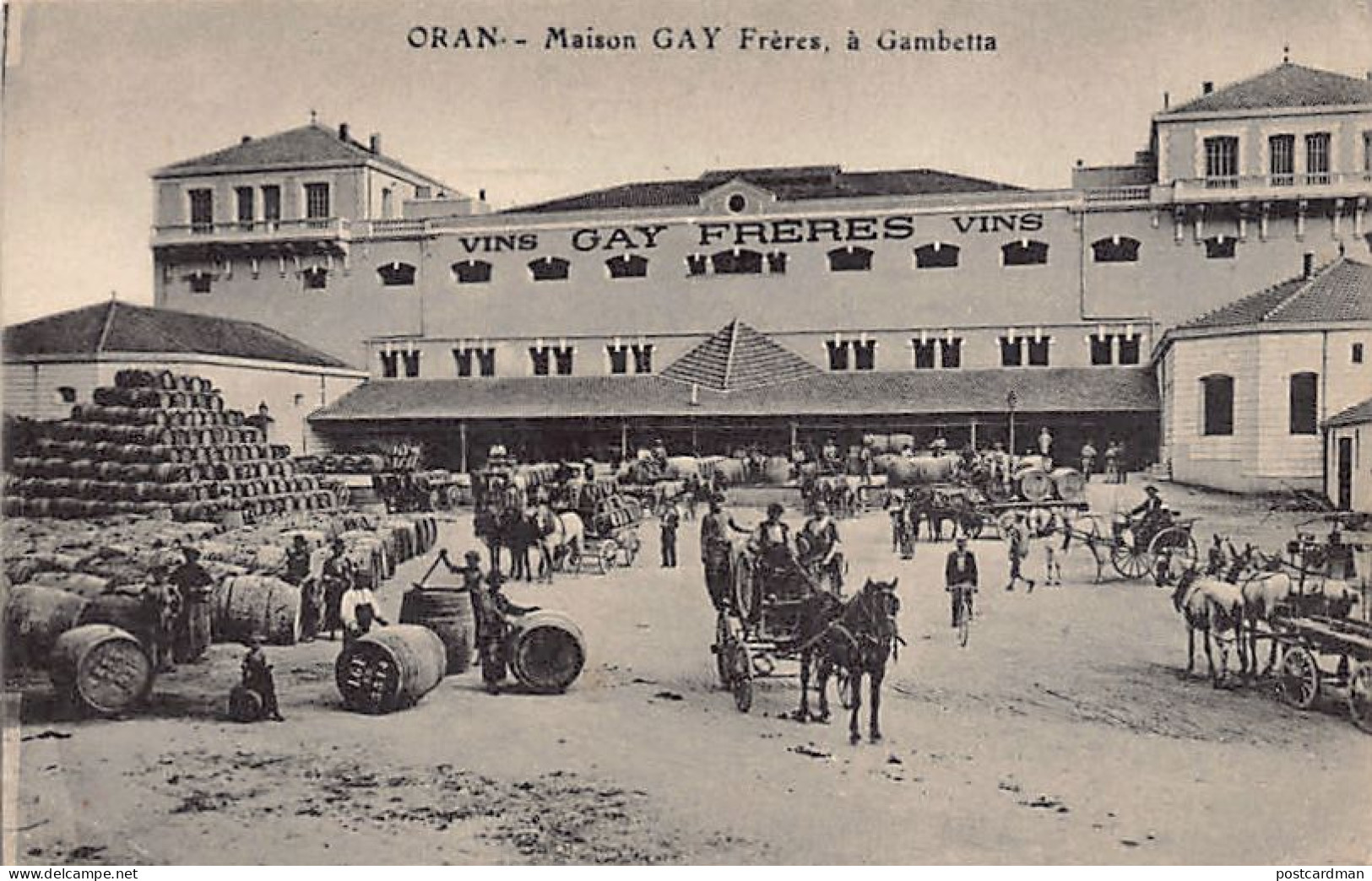 Algérie - ORAN - Maison Gay Frères à Gambetta - Vins - Ed. Inconnu  - Oran