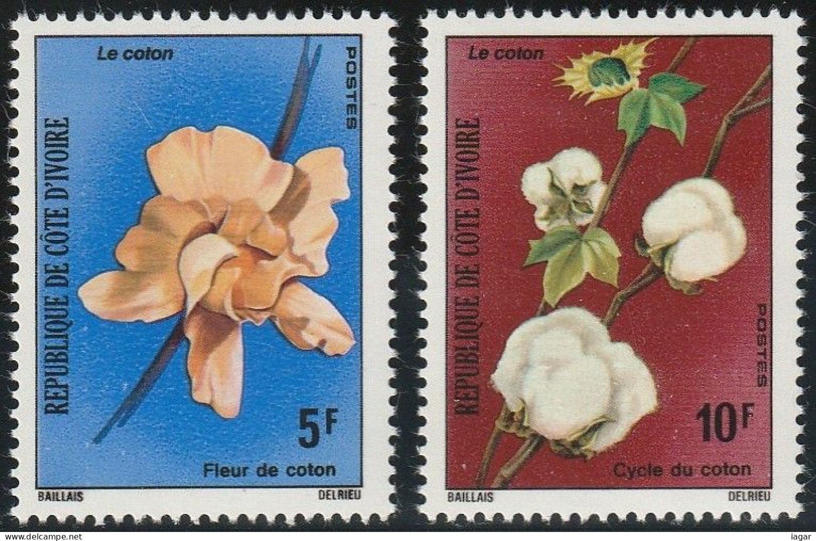 THEMATIC AGRICULTURE:  COTTON CULTIVATION, COTTON FLOWERS AND COTTON CYCLE    -   COTE D'IVOIRE - Agriculture