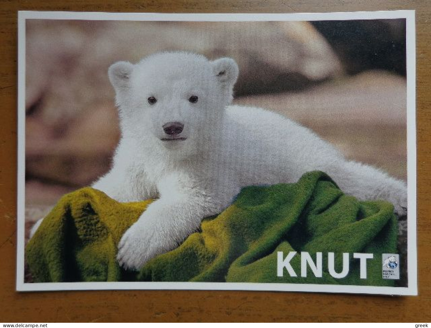 Zoo, Dierenpark, Tierpark / Tierpark Berlin, Der Eisbar Knut -> Unwritten - Bears