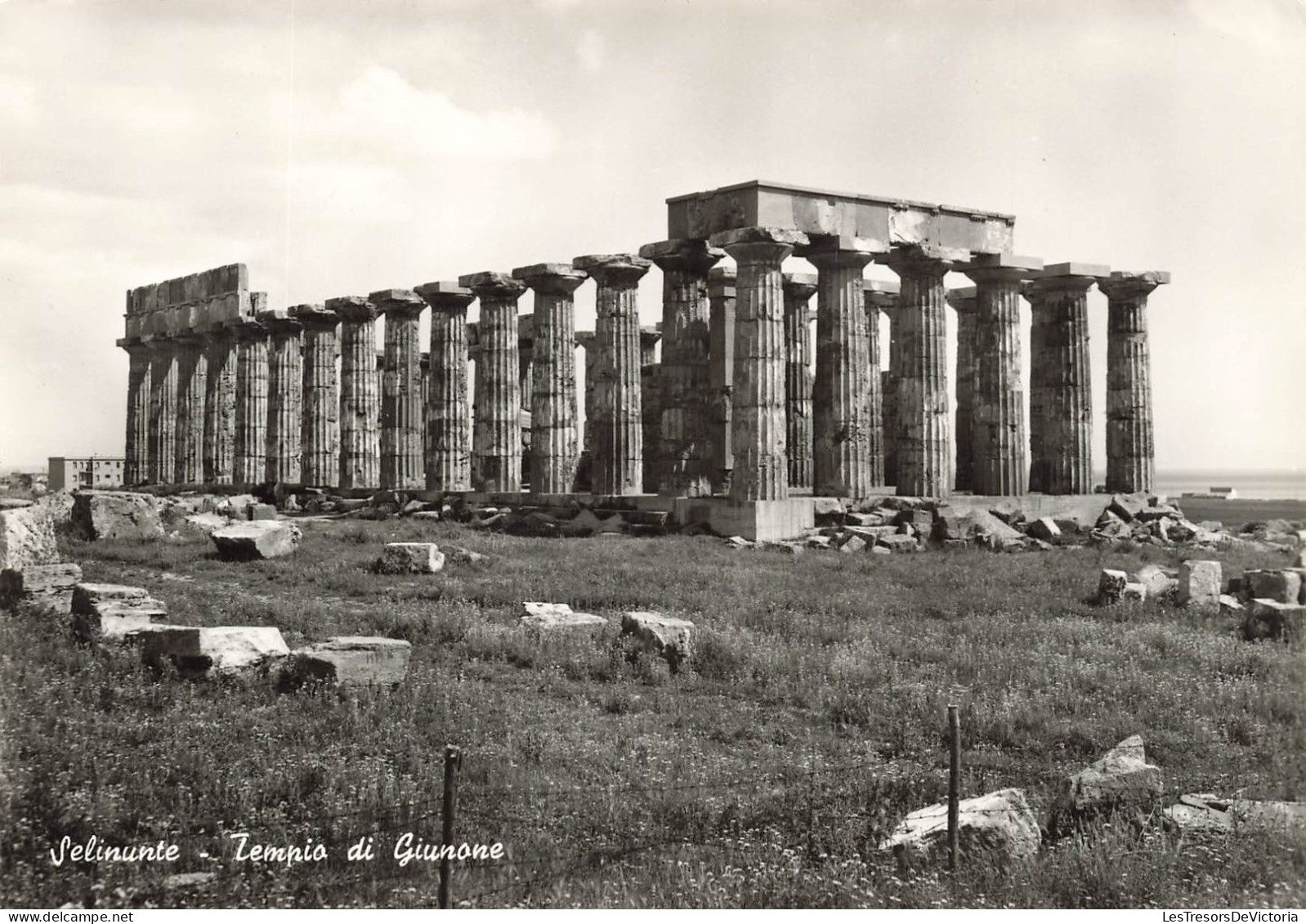 ITALIE - Selinunte - Tempio Di Giunone - Carte Postale - Trapani