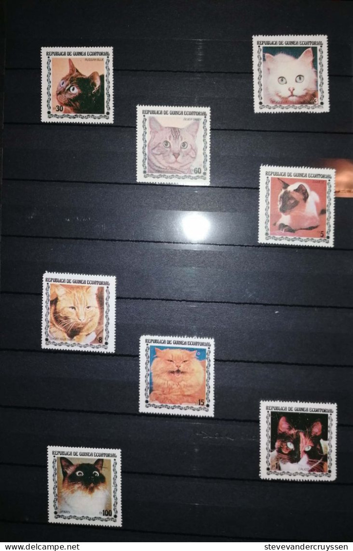 Katten - Collections (en Albums)