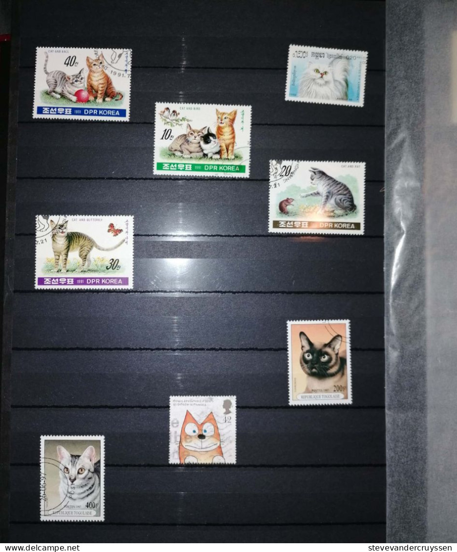 Katten - Collections (with Albums)