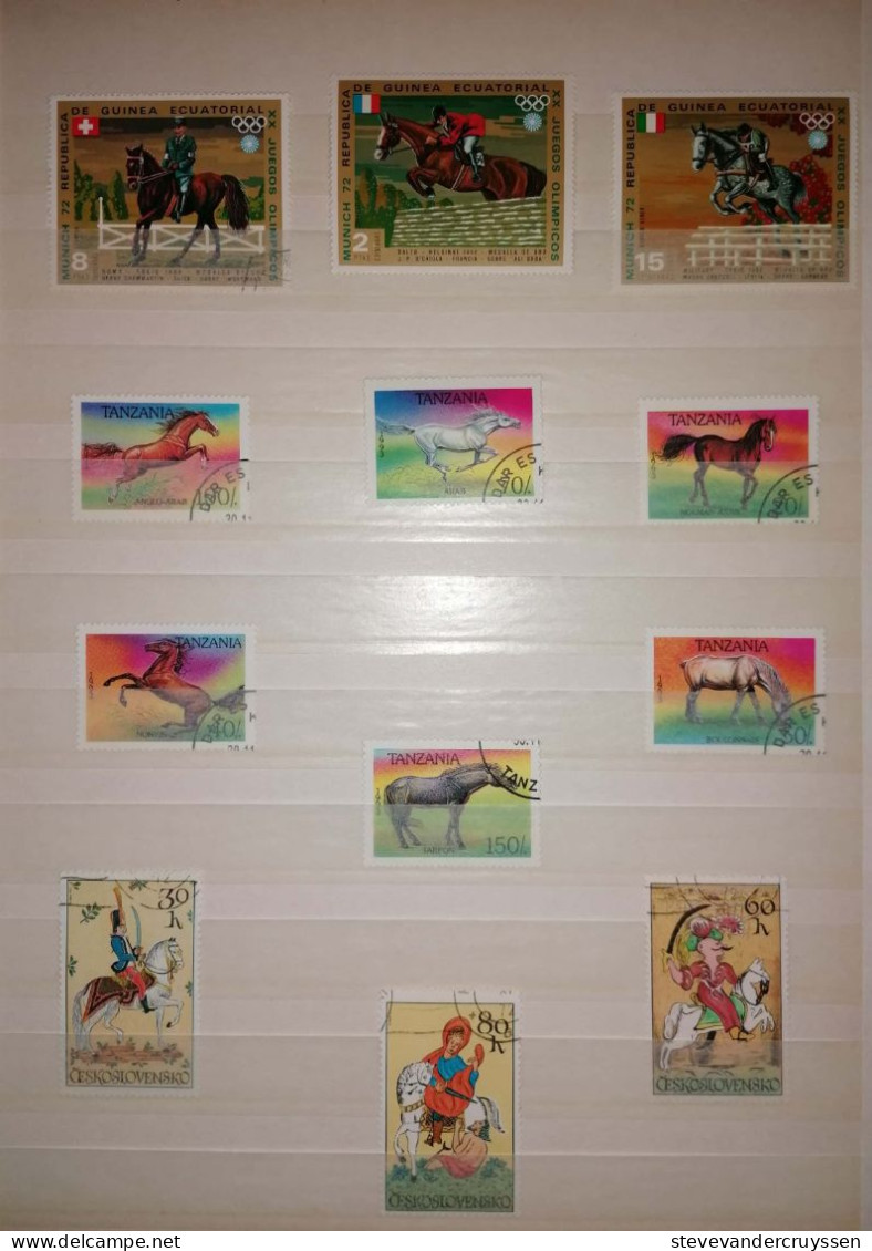 Paarden - Collections (en Albums)