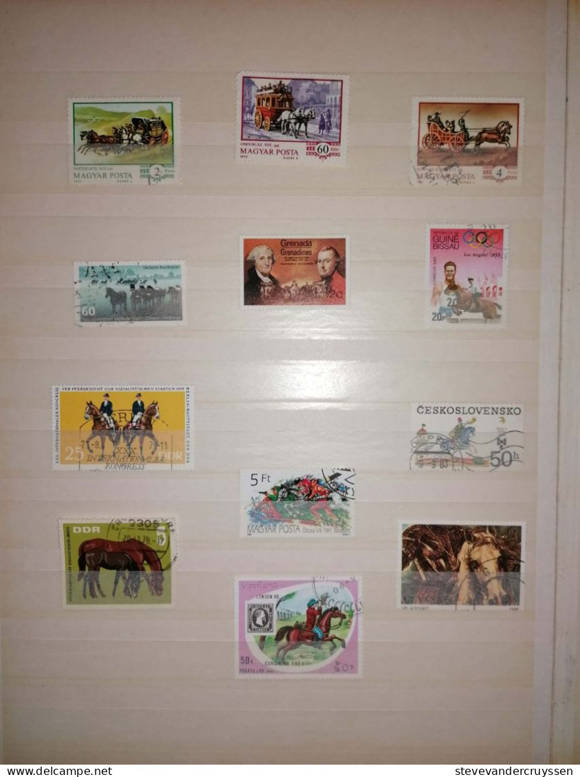 Paarden - Collections (with Albums)
