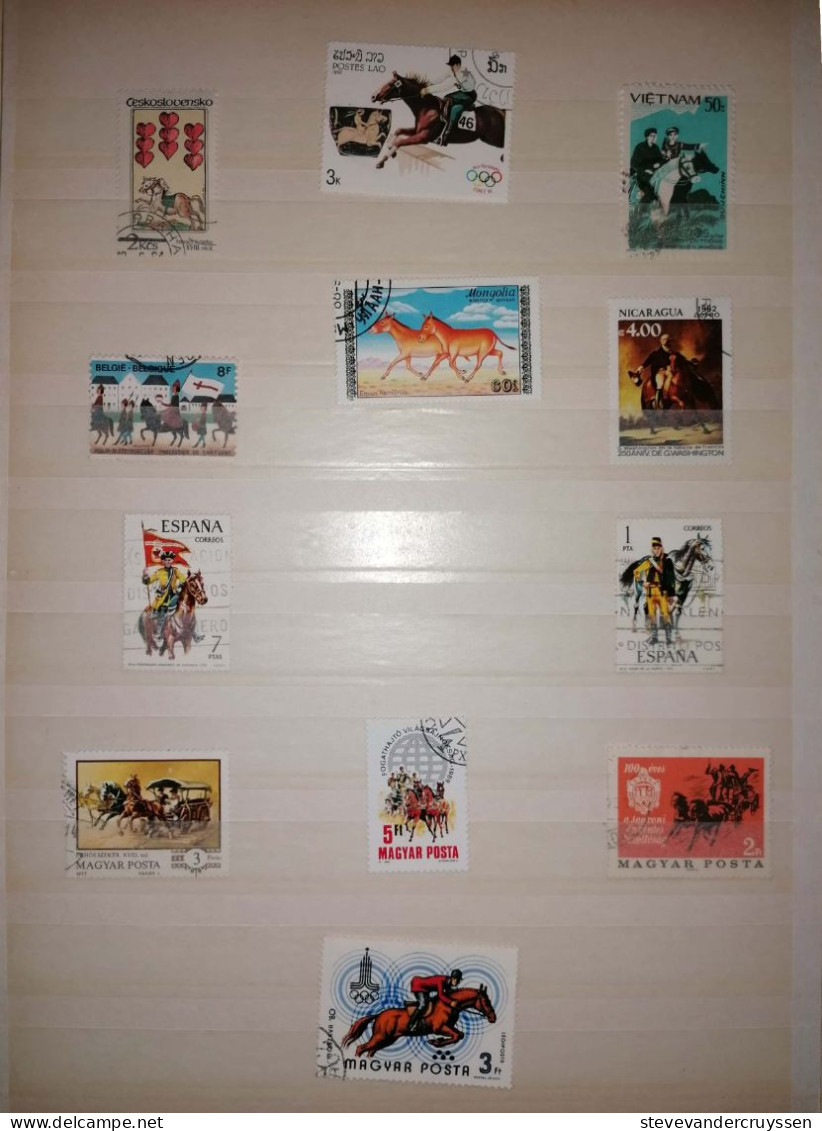 Paarden - Collections (with Albums)