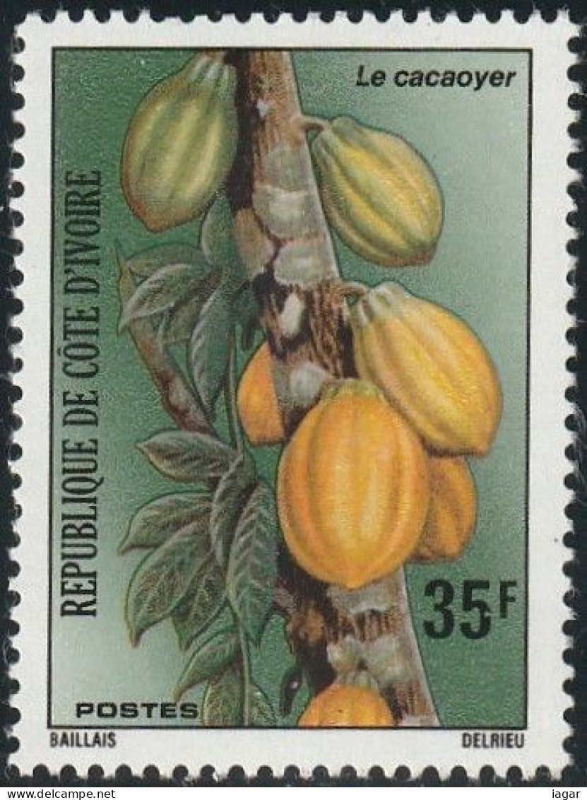 THEMATIC AGRICULTURE:  THE COCOA TREE    -   COTE D'IVOIRE - Landwirtschaft