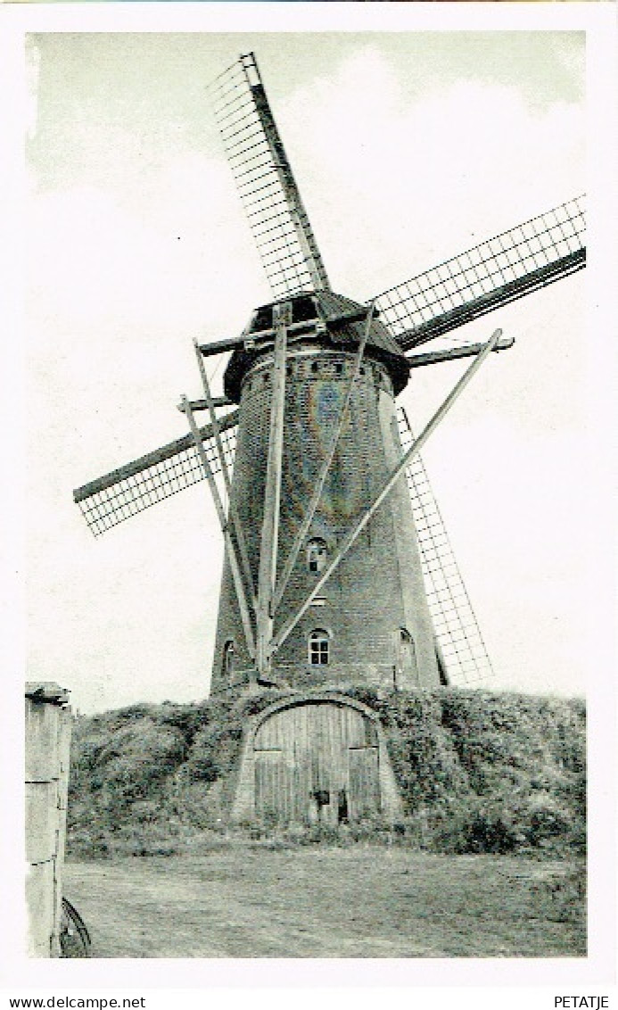 Oud-Turnhout , Molen - Oud-Turnhout