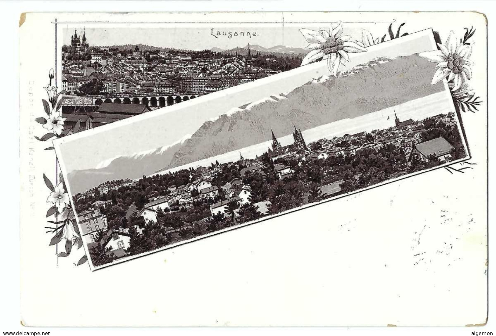 32563 -  Lausanne  Edelweiss Circulée 1895 Litho - Lausanne