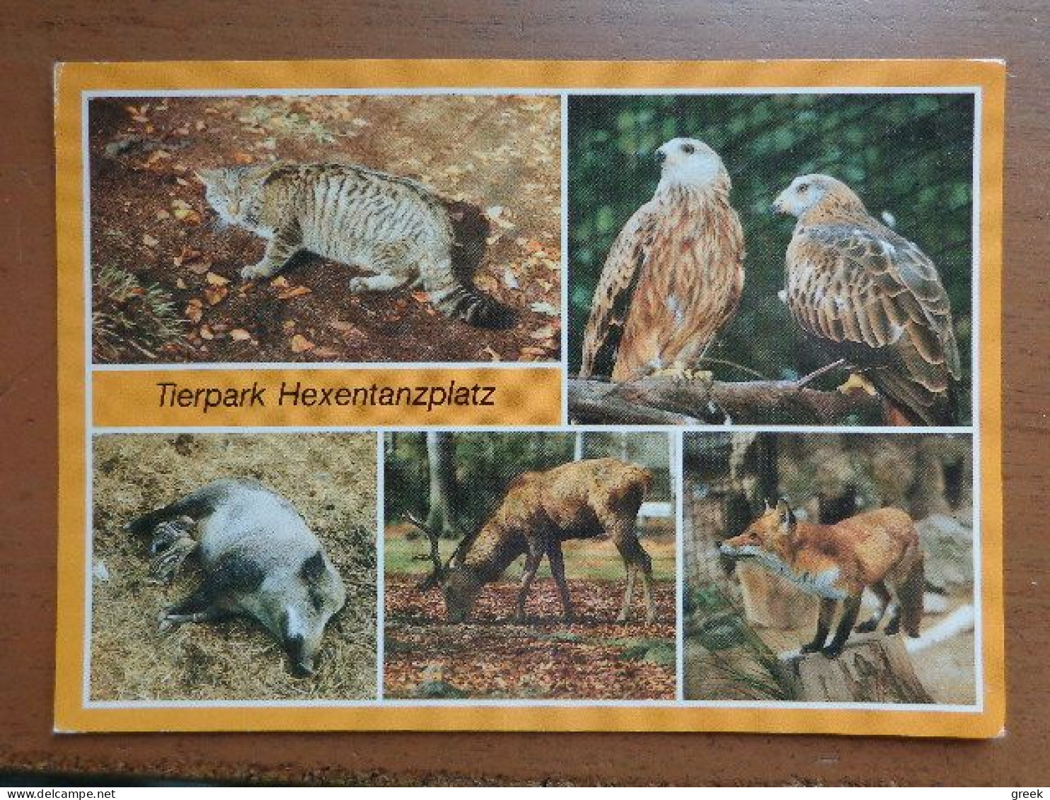 Zoo, Dierenpark, Tierpark / Tierpark Hexentanzplatz -> Unwritten - Other & Unclassified