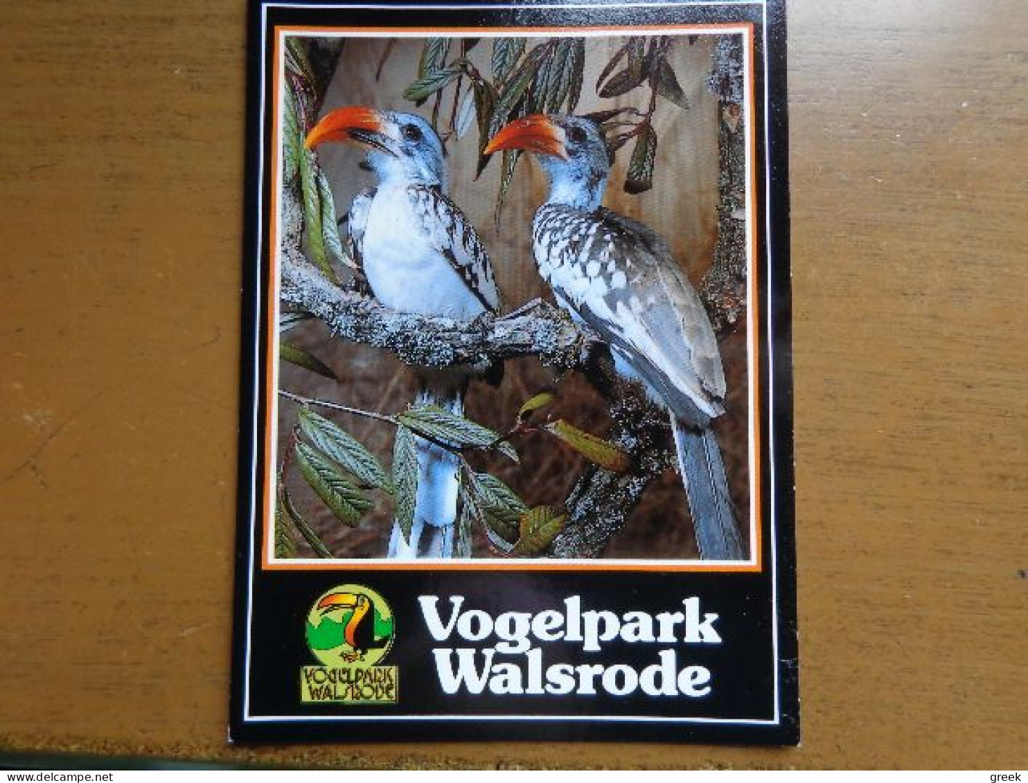 Zoo, Dierenpark, Tierpark / Vogelpark Walsrode, Rotschnabeltoko -> Unwritten - Vögel