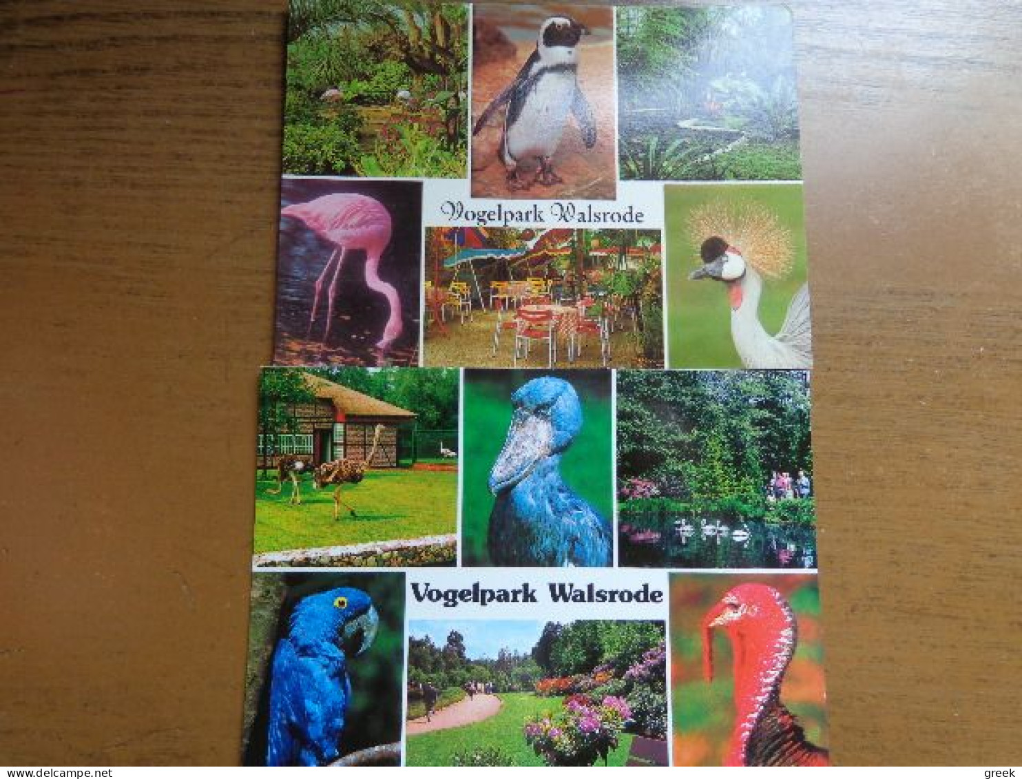 Zoo, Dierenpark, Tierpark / Vogelpark Walsrode, 2 Karten -> Unwritten - Oiseaux