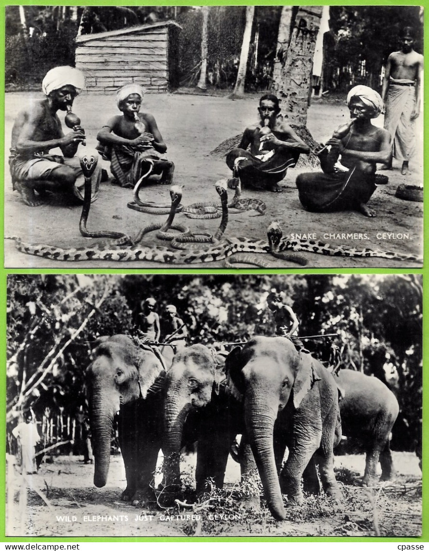 (Lot De 2) CPA CEYLON (Sri Lanka) SNAKE CHARMERS + WILD ELEPHANTS JUST CAPTURED - Sri Lanka (Ceylon)